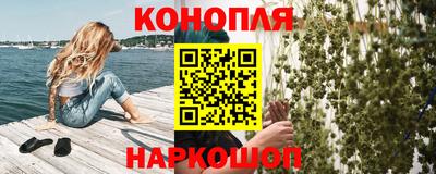 Альфа ПВП Краснознаменск